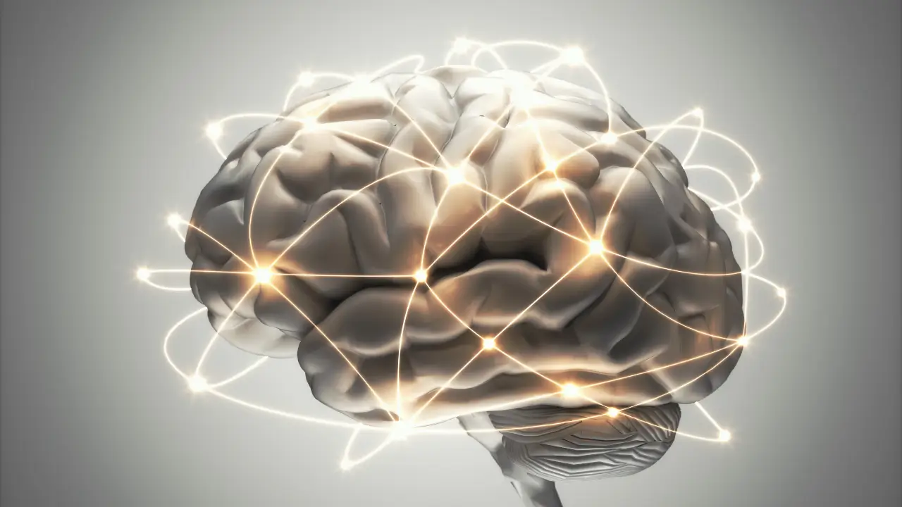 Tipos de inteligência