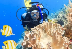 Descobertas Submarinas