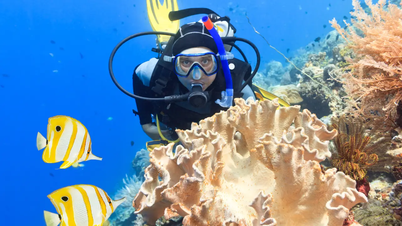 Descobertas Submarinas