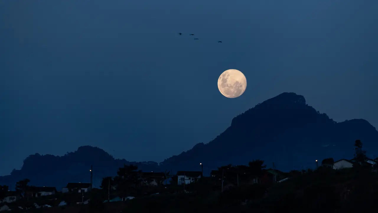 Fases da lua