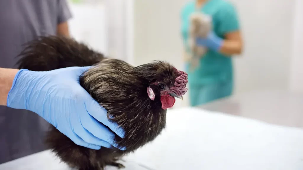 Equipamento de proteção contra gripe aviária no Brasil