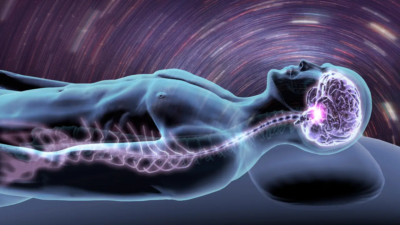 Ilustração de um cérebro relaxado com ondas de calma emanando dele.